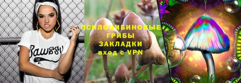 Галлюциногенные грибы Magic Shrooms  гидра ССЫЛКА  Кизляр  хочу наркоту 